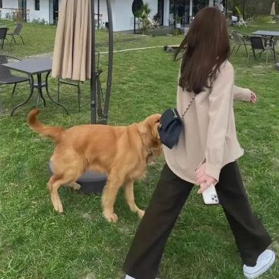 边缘追缉