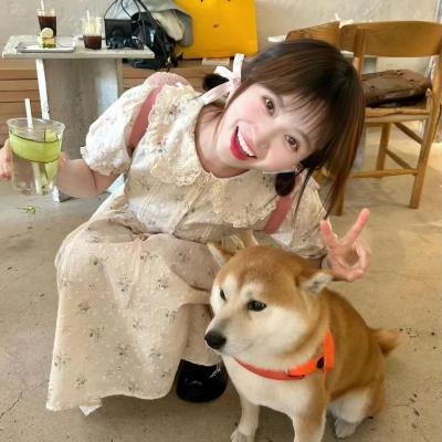 侠女传奇国语